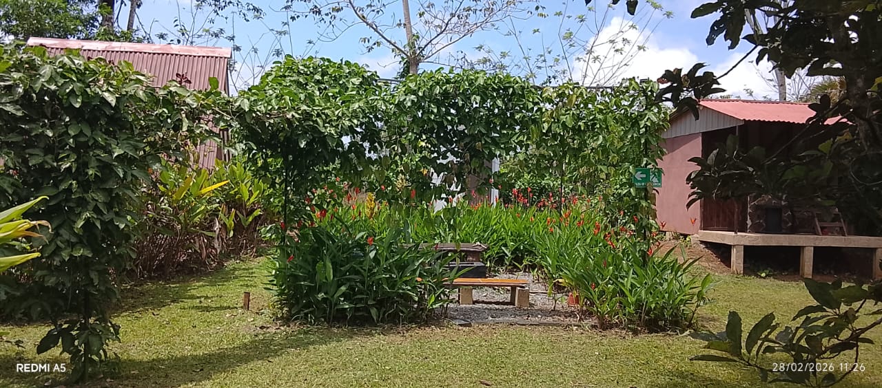 Mini Bungalow