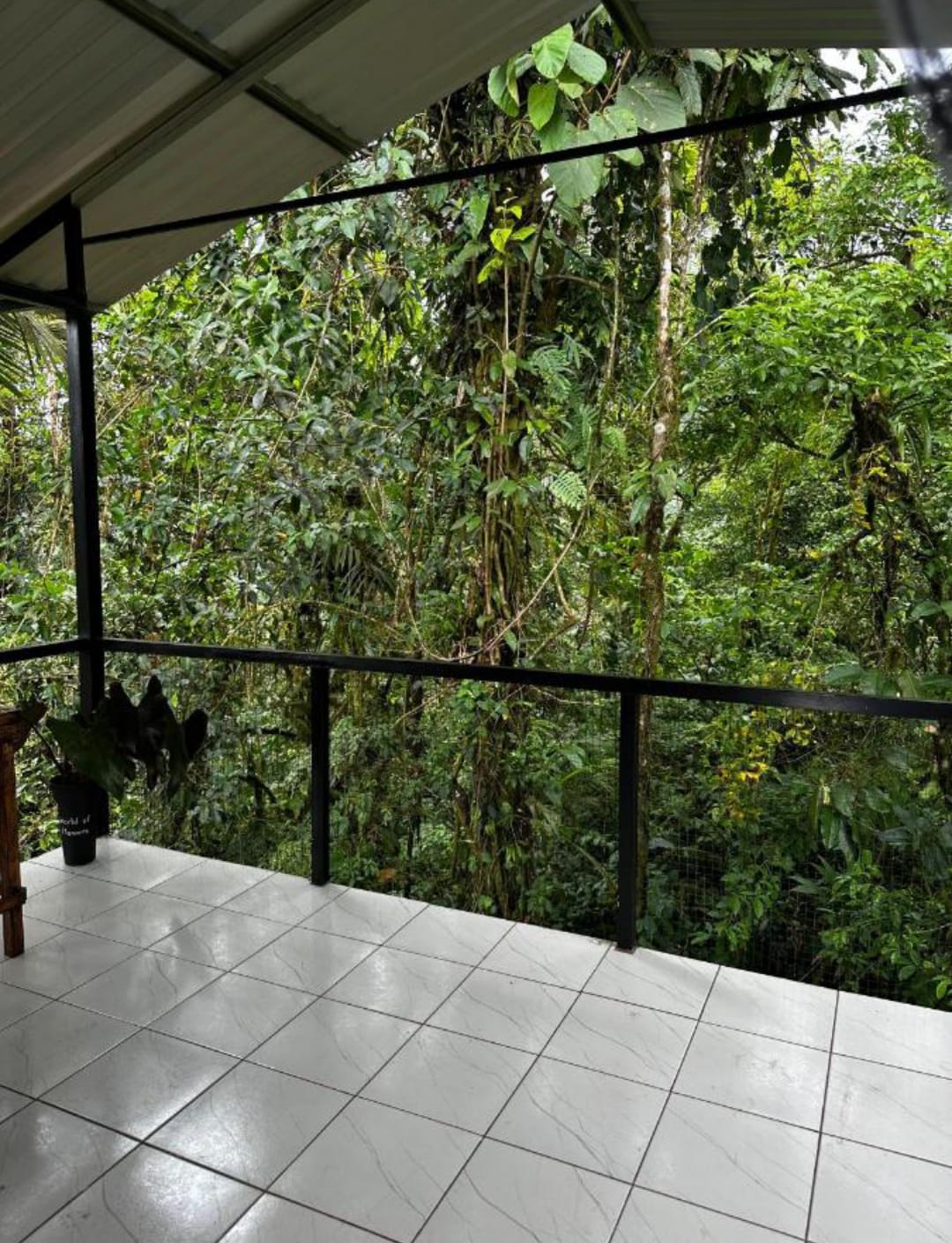 Vista de Cabaña 1