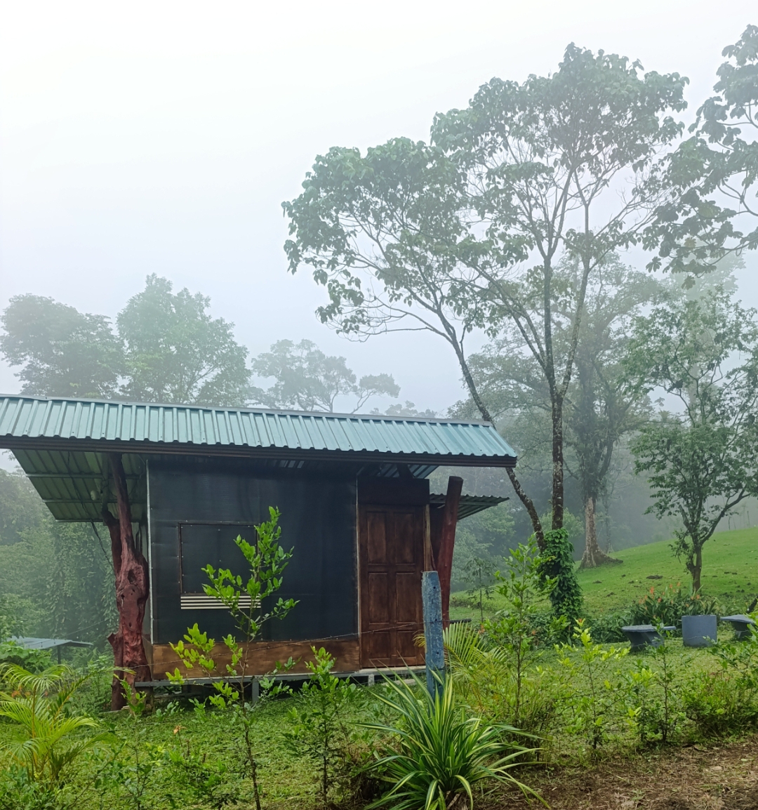 Cabaña 2 · Comodidad en el Bosque