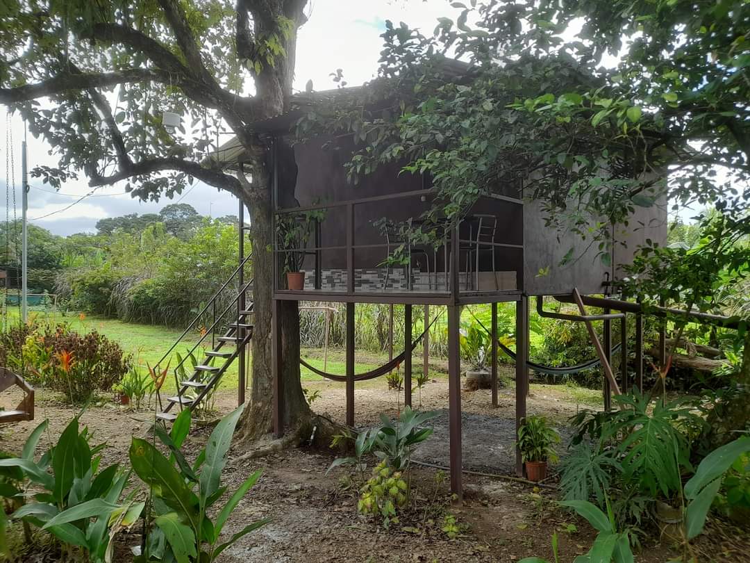 Habitación de Casa del Árbol