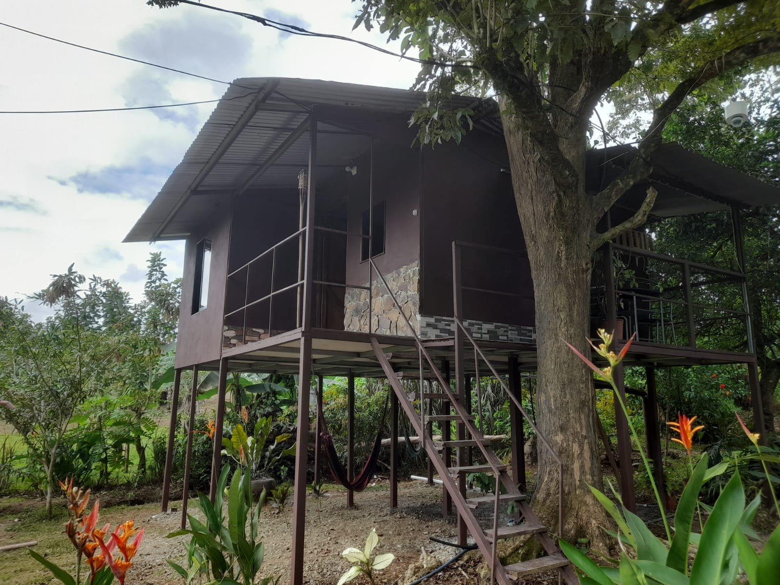Casa del Árbol